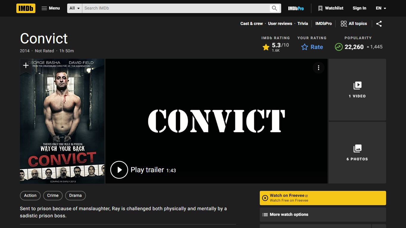 Convict (2014) - IMDb